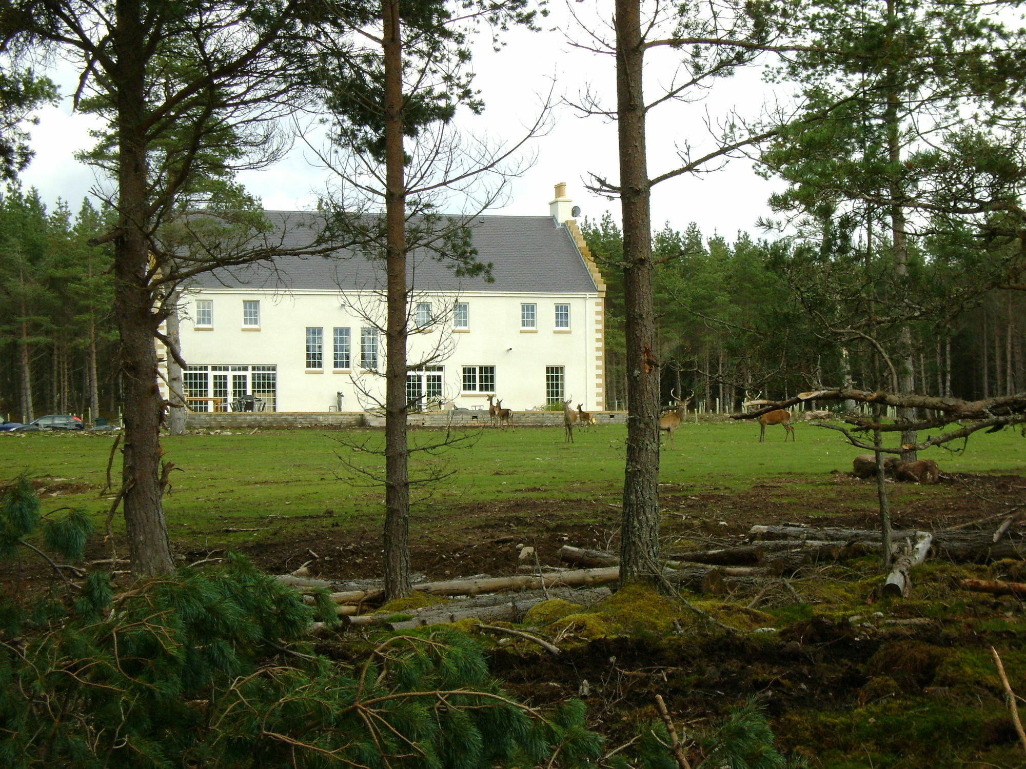 Dinichean House Bed & Breakfast Daviot  Eksteriør bilde